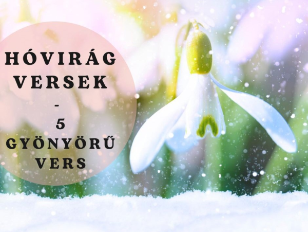 Már nyílik a tavasz hírnöke! - 5 gyönyörű vers a hóvirágról