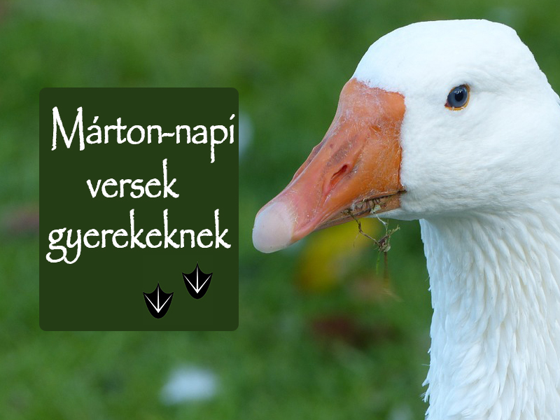Marton Napi Versek Mondokak