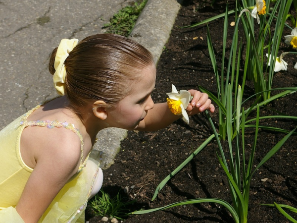 Mérgező növények listája: 119 mérgező növény a lakásban, kertben, játszótéren - Mit tegyél, ha a gyerek eszik belőle?