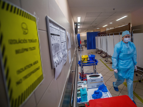 Meghalt 2 koronavírusos beteg Magyarországon - Kiket veszélyeztet leginkább a betegség?